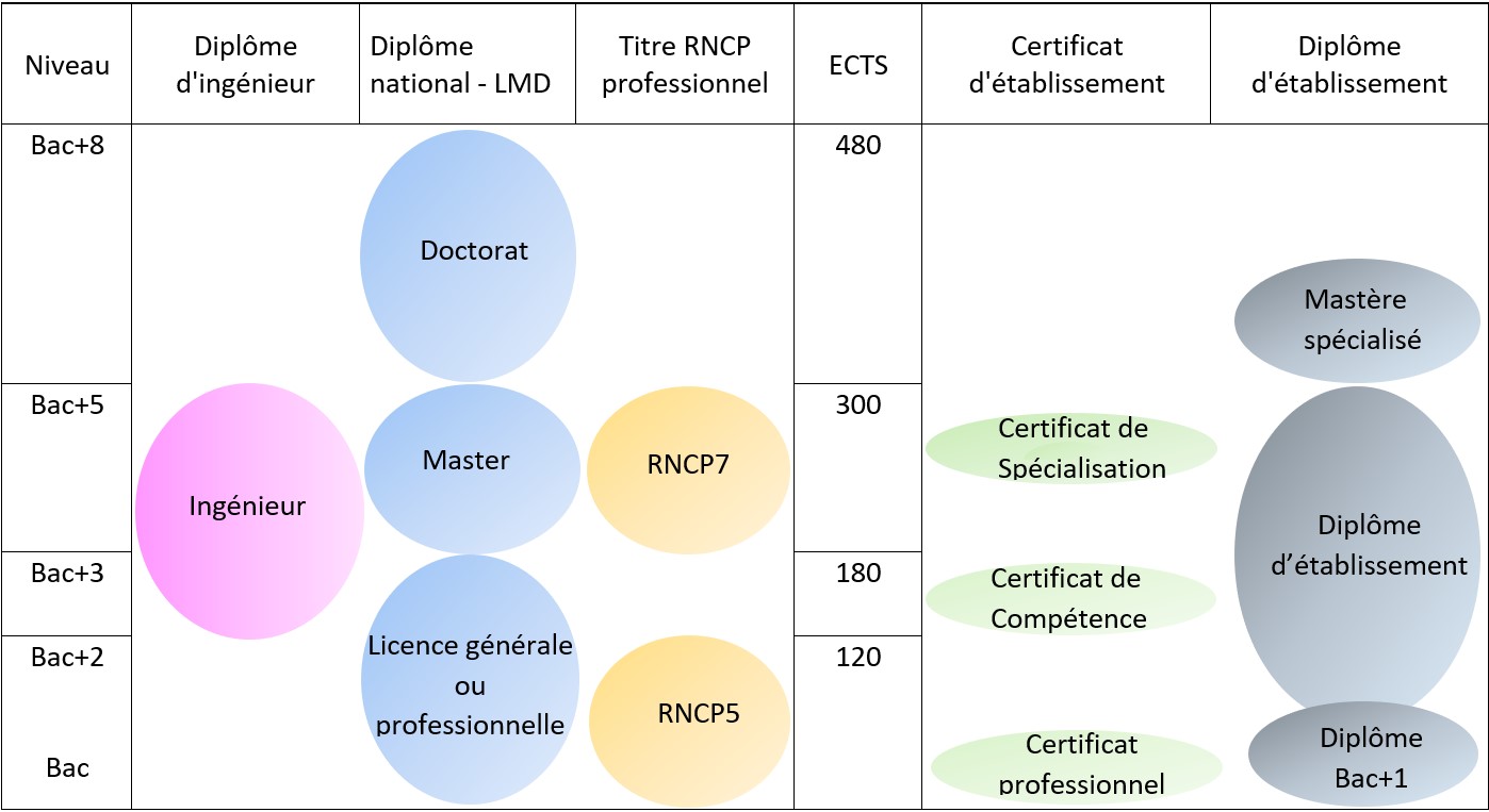 Tableau diplomes MAJ